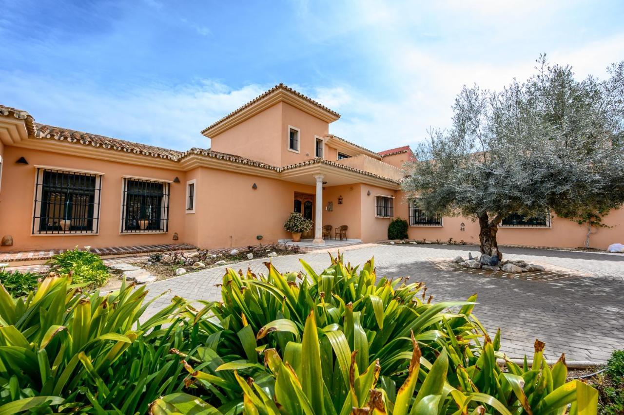 Villa Saguaro Malaga 알하우린데라토레 외부 사진
