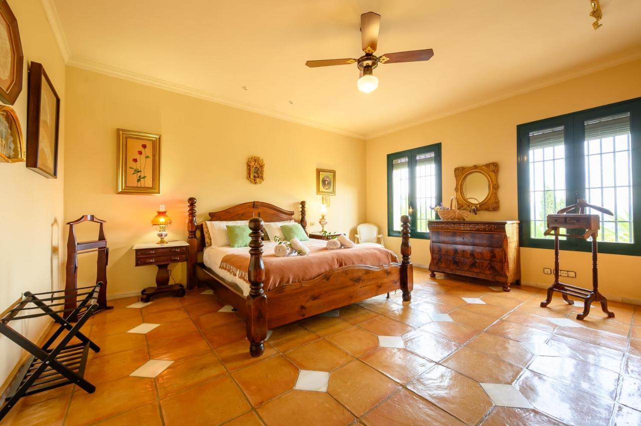 Villa Saguaro Malaga 알하우린데라토레 외부 사진