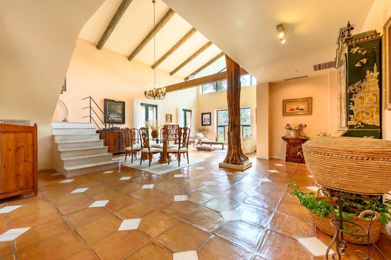 Villa Saguaro Malaga 알하우린데라토레 외부 사진